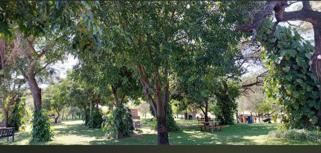 Camp Hogo Kavango روندو المظهر الخارجي الصورة