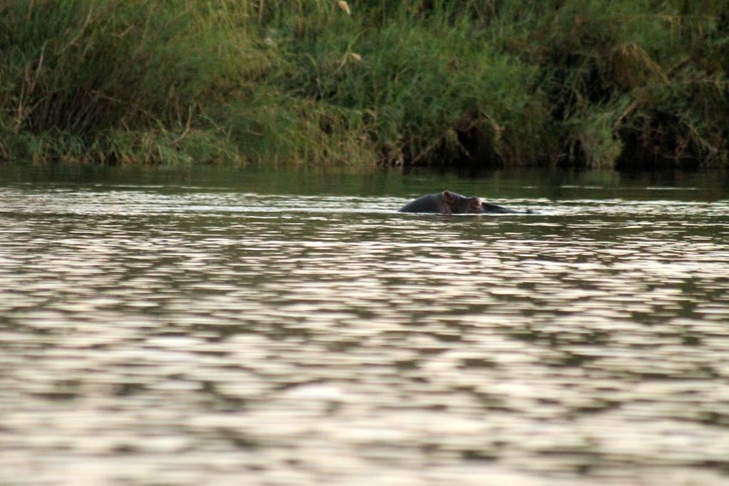 روندو Camp Hogo Kavango المظهر الخارجي الصورة