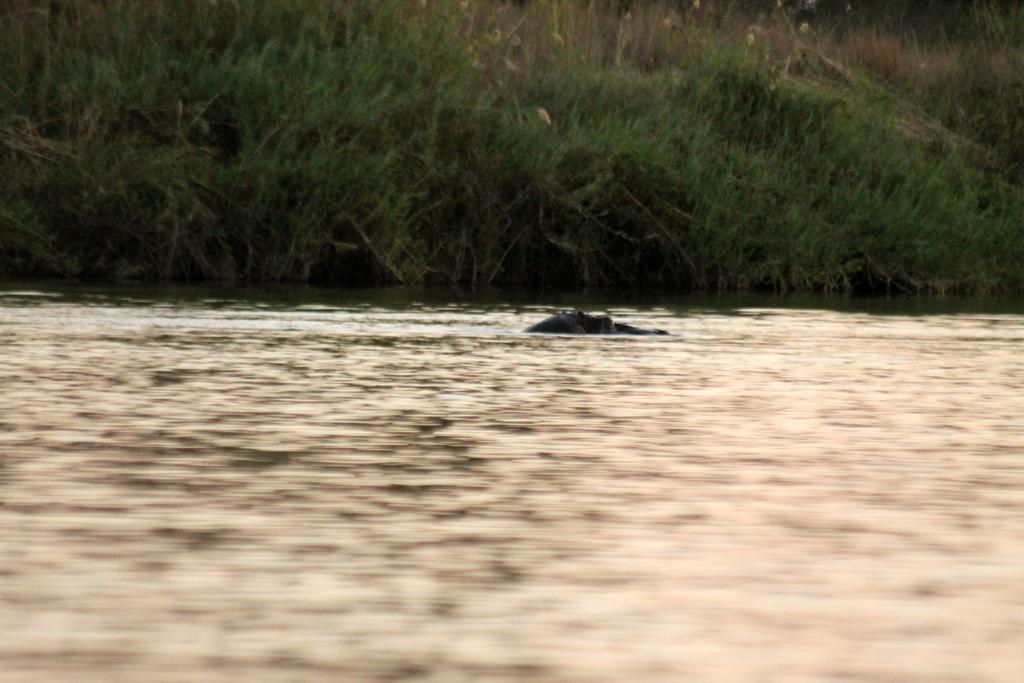 روندو Camp Hogo Kavango المظهر الخارجي الصورة