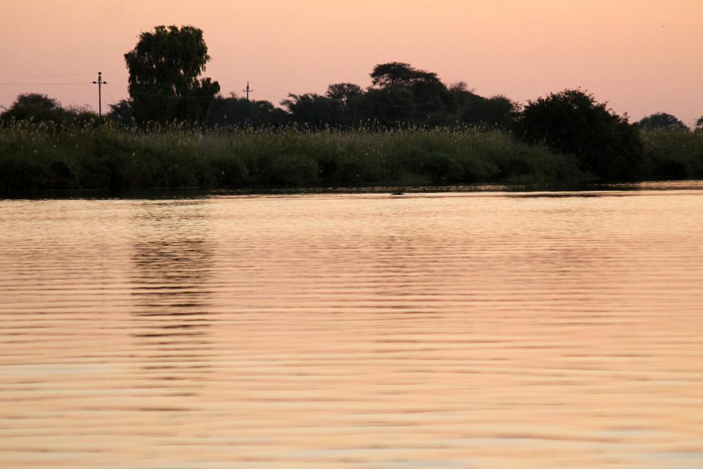 روندو Camp Hogo Kavango المظهر الخارجي الصورة