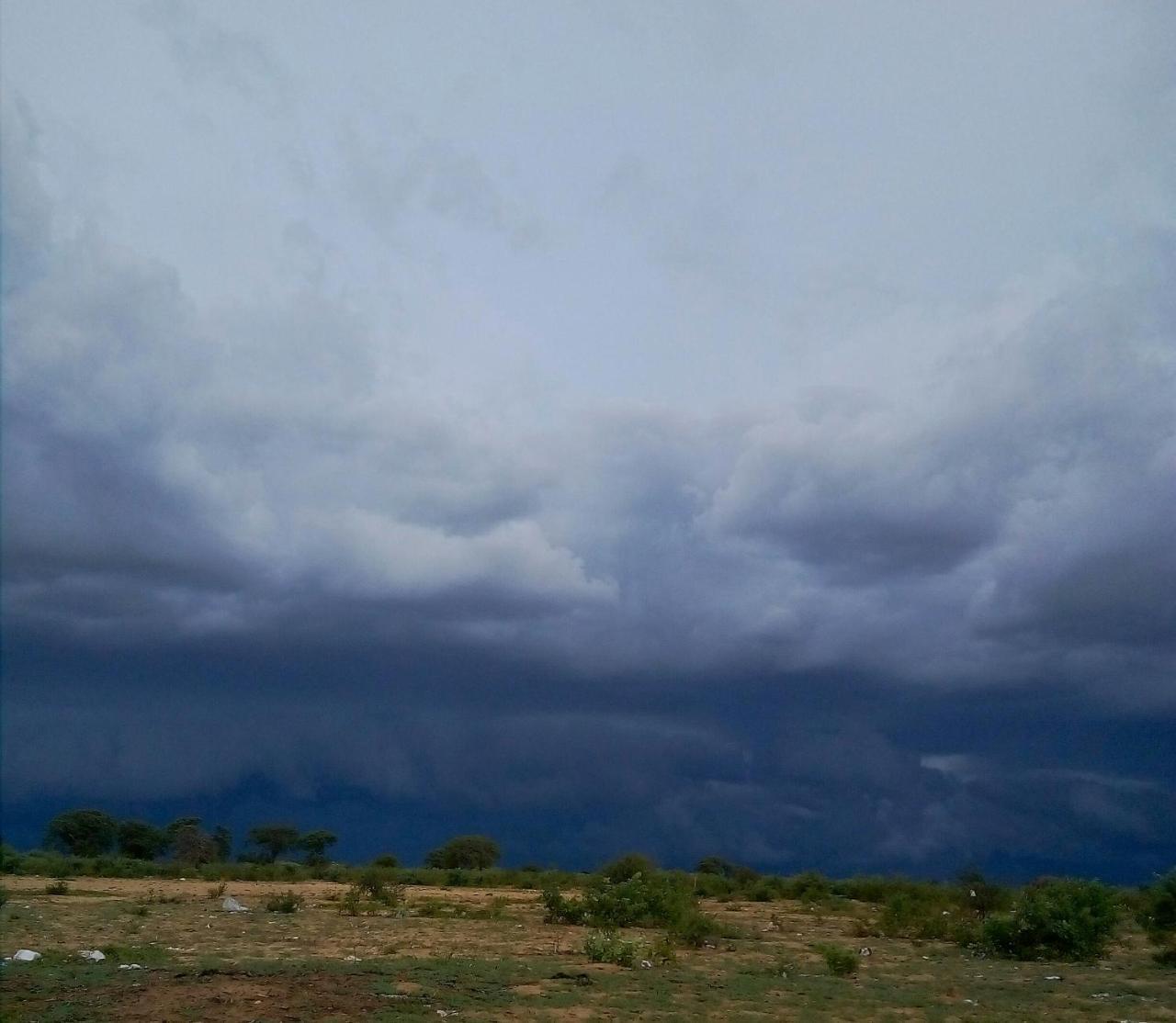 روندو Camp Hogo Kavango المظهر الخارجي الصورة